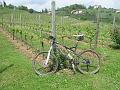 bici 015